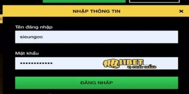 Hướng dẫn đăng nhập 11BET